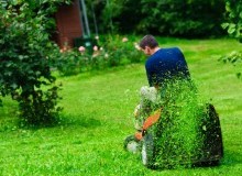 Kwikfynd Lawn Mowing
wondunna