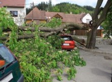 Kwikfynd Tree Cutting Services
wondunna